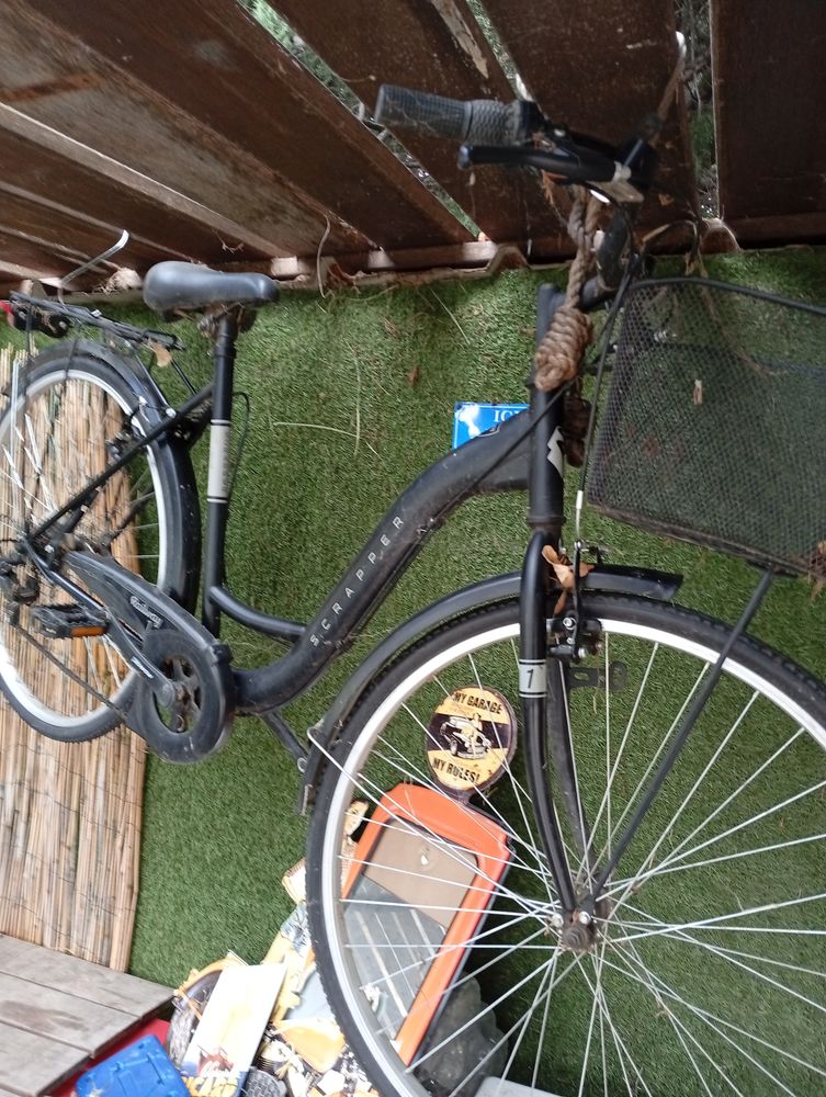 V�lo de ville 120 Millas (66)