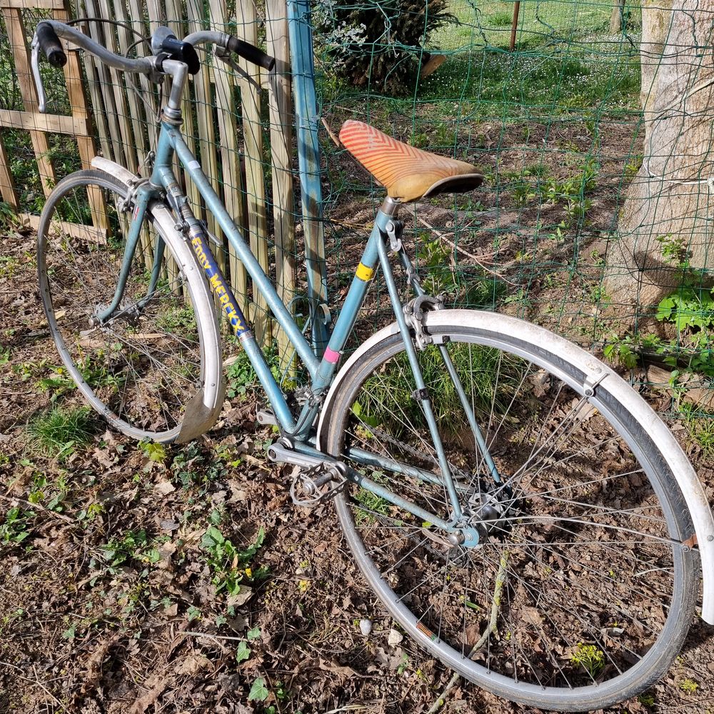 V�lo vintage 90 Buthiers (77)