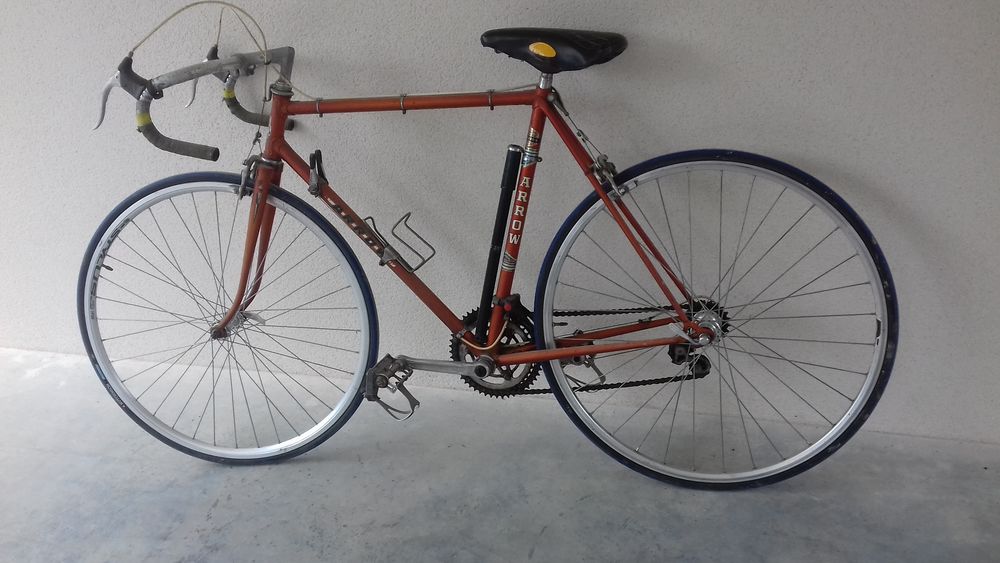 vélo vintage 0 Les Lucs-sur-Boulogne (85)