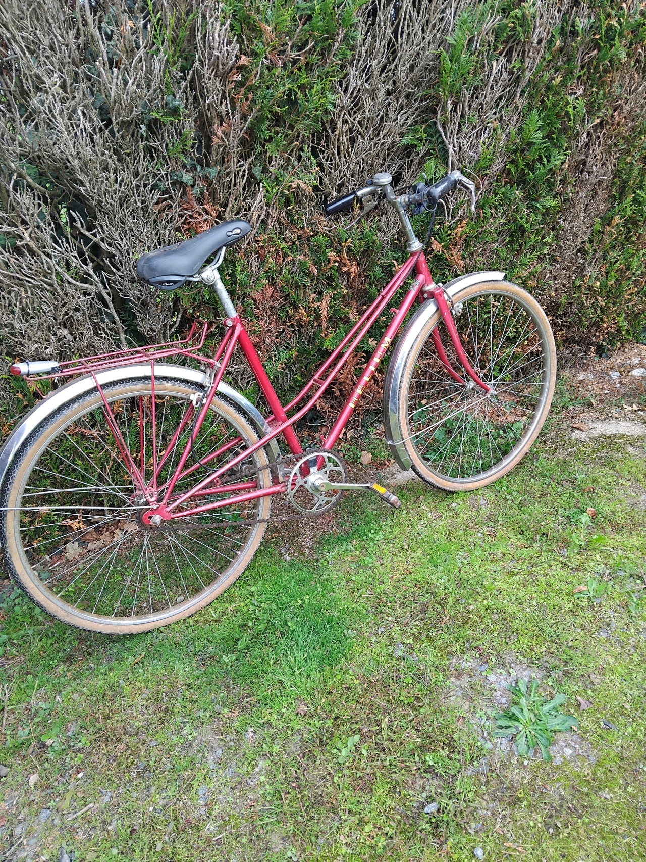 VELO VINTAGE 20 Terves (79)