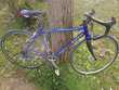Vélo Vitus bleu 350 Guthary (64)