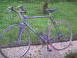 vélo Waymel 80 Saint-Amand-les-Eaux (59)