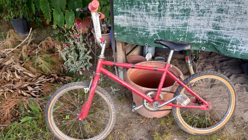 V�lo BMX 30 Cepoy (45)