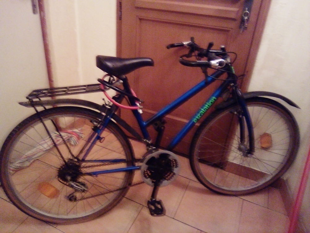 V�lo VTT 50 Montargis (45)