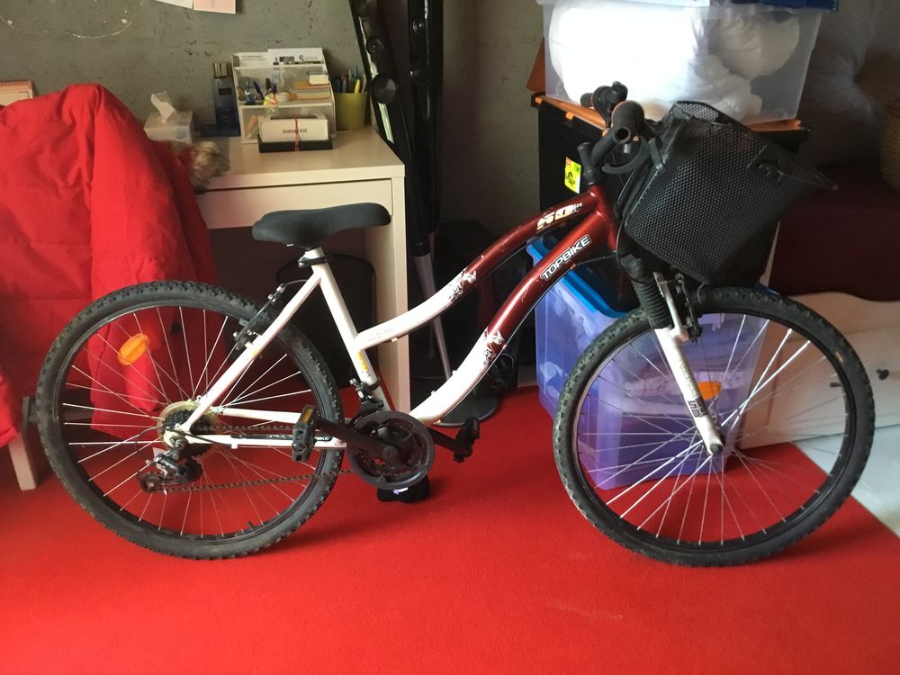 de v�lo 100 La Queue-en-Brie (94)