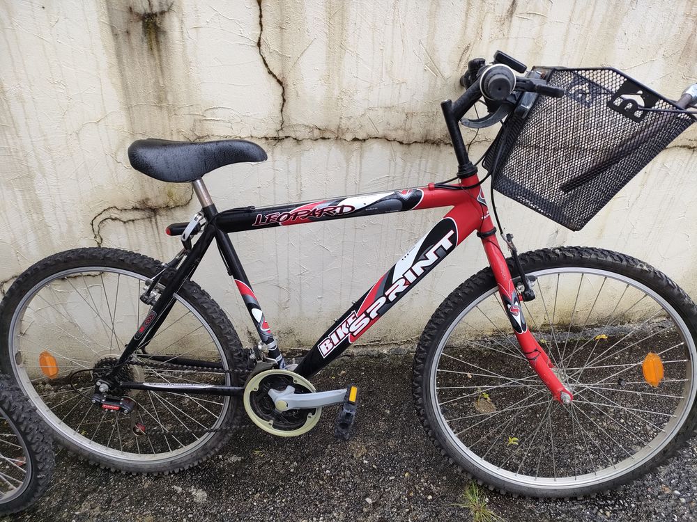 V�lo 100 Lanton (33)