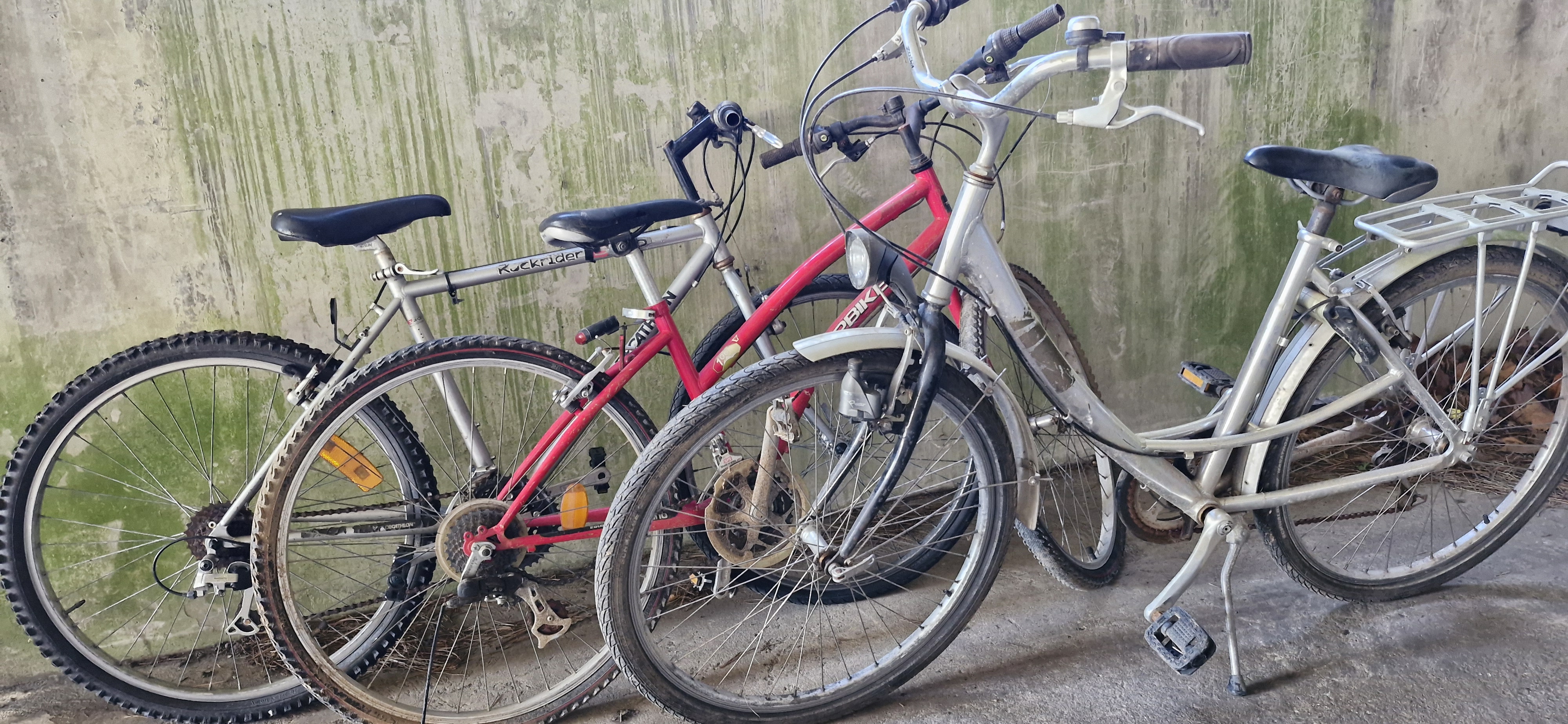 Velo 50 Le Grand-Quevilly (76)