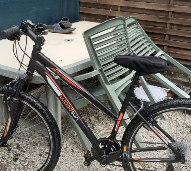 V�lo VTT 170 Bray-sur-Seine (77)