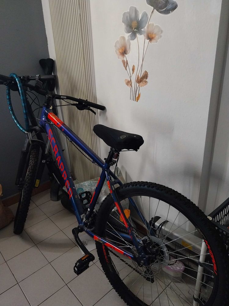 v�lo vtt 250 Nice (06)