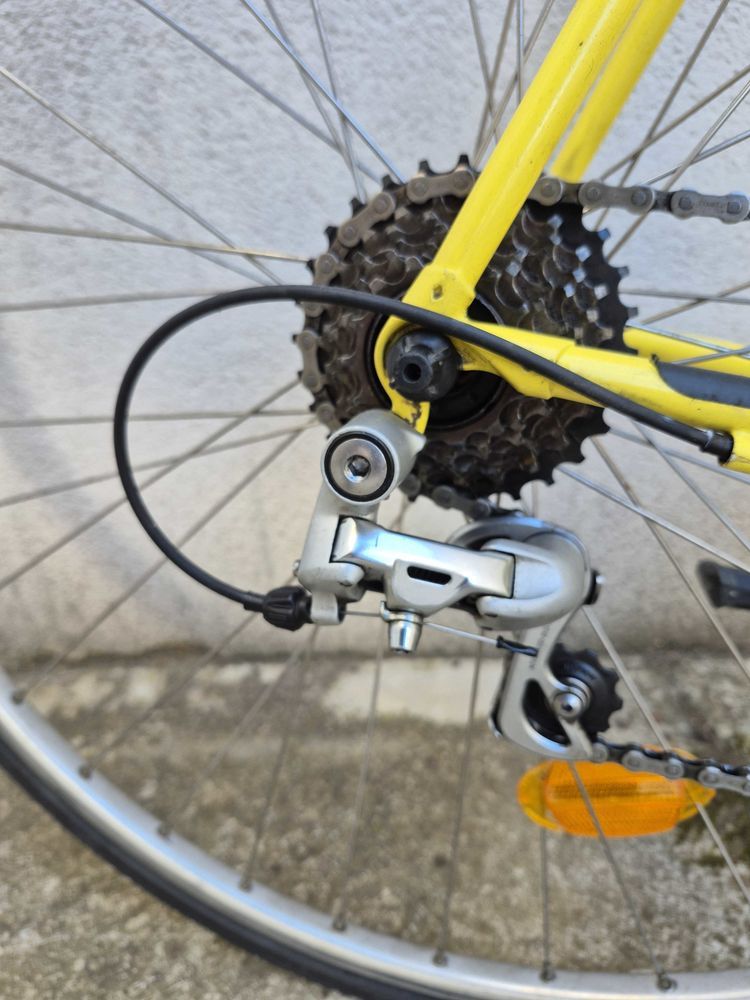 v�lo 110 Narbonne (11)