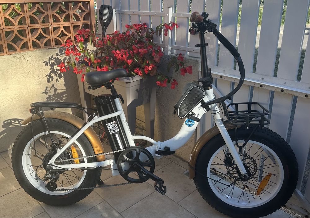 v�los �lectriques tout terrain prix d achat 2400 euros 1200 Bormes-les-Mimosas (83)