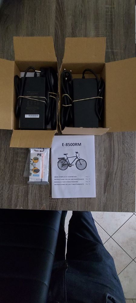 V�los �lectriques VTC 450 Dijon (21)