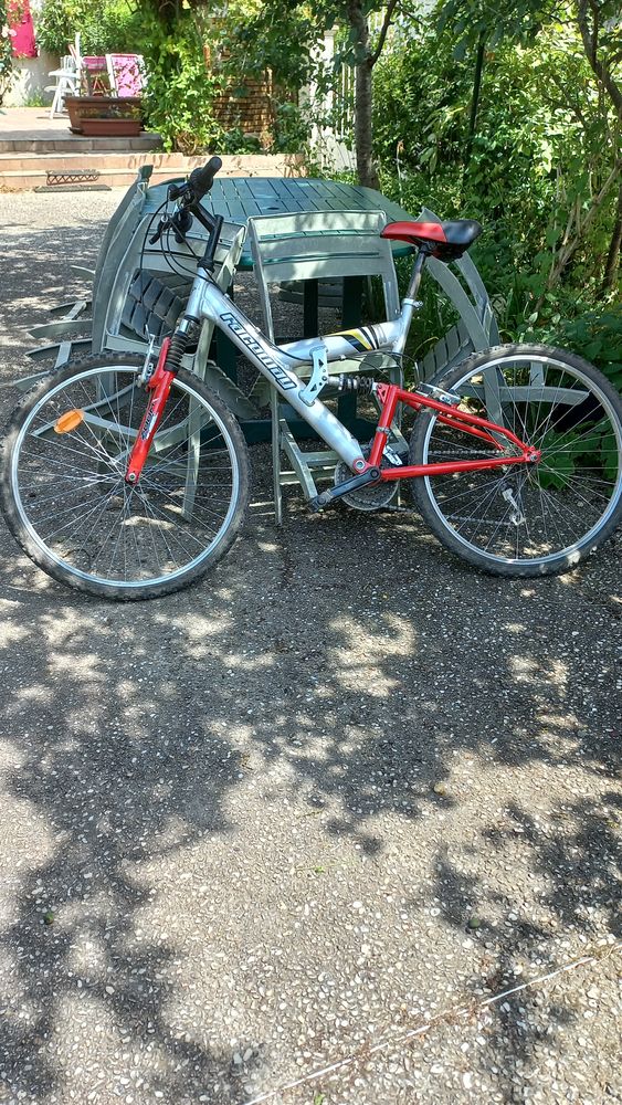 V�los grands ados fille 75 Benet (85)