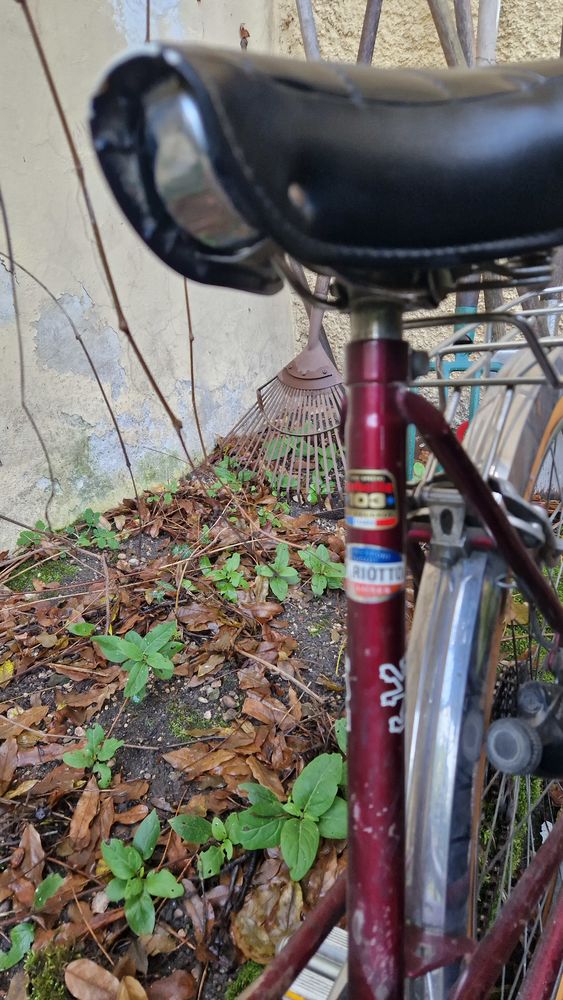 2 v�los vintage Peugeot ann�es 50. Tbe. 45 Annecy (74)