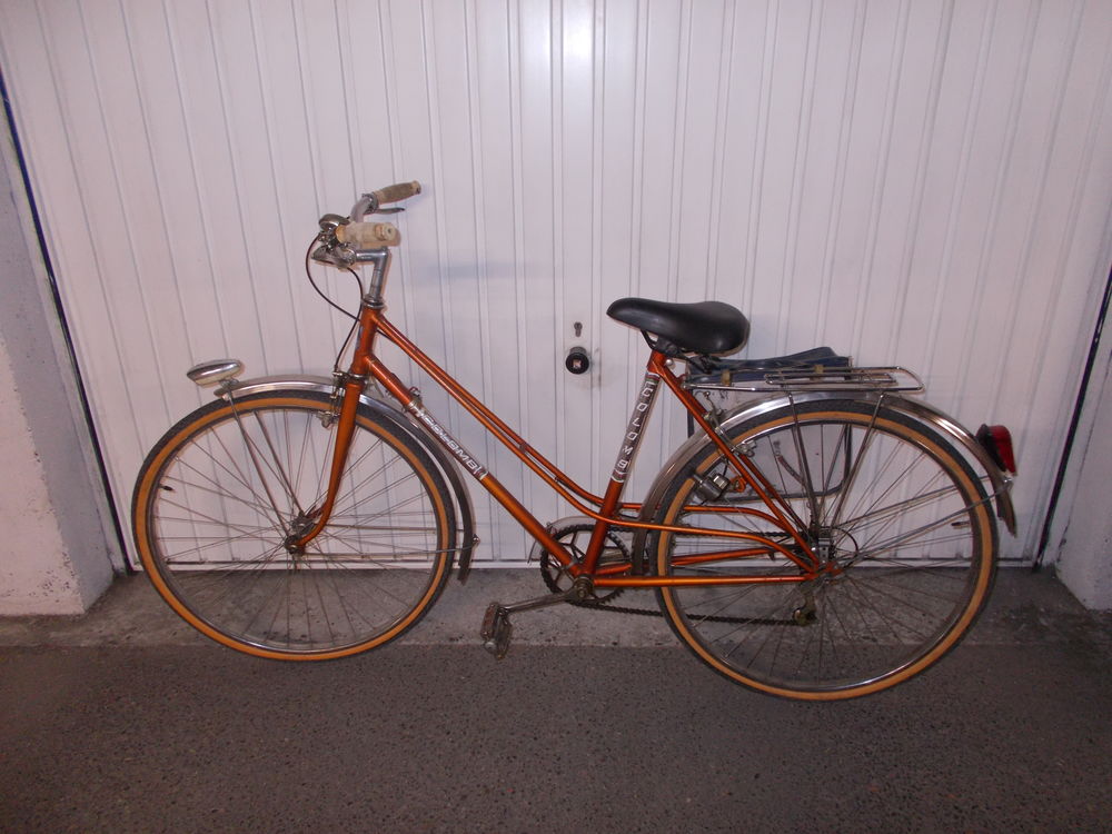 V�los 10 Seyssins (38)