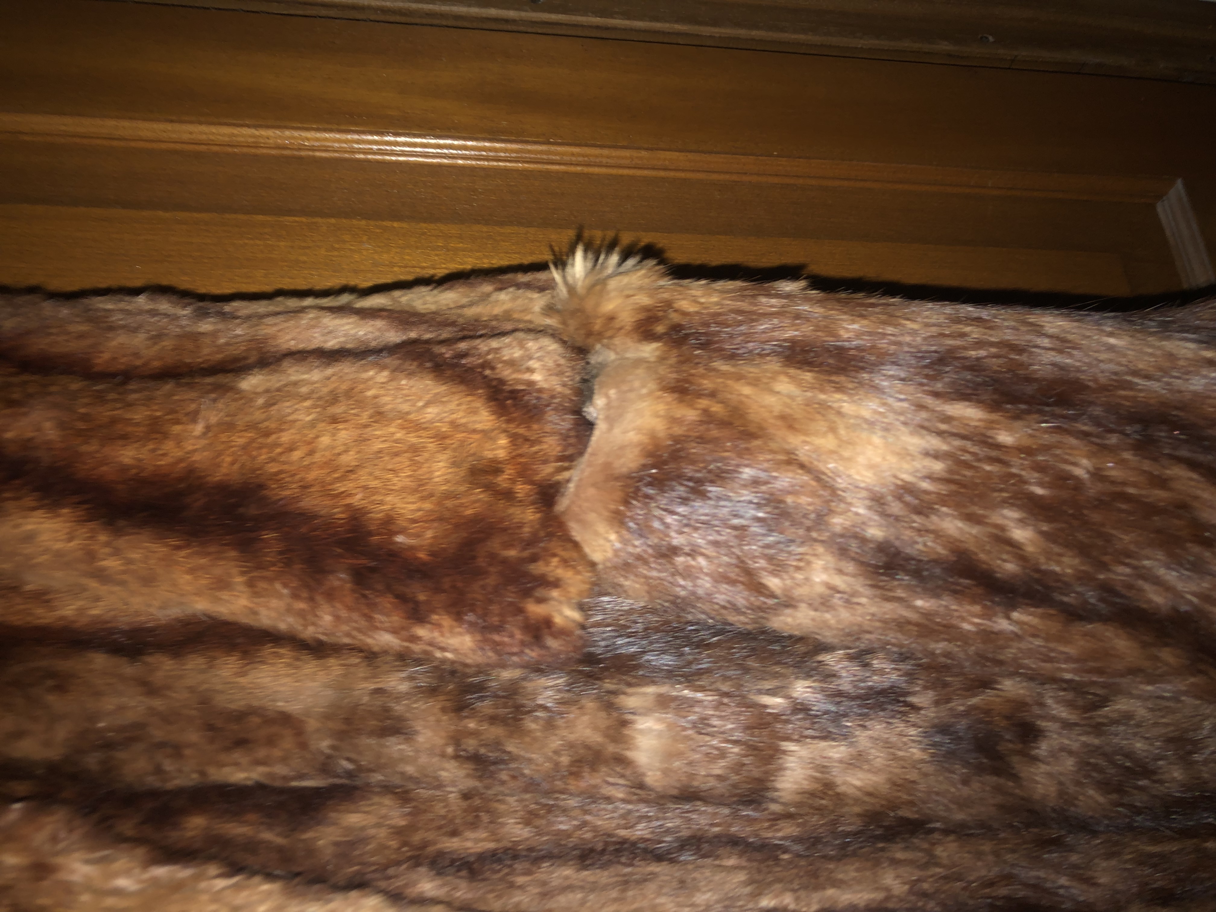 Vend manteau de vison 500 Pont-Sainte-Maxence (60)