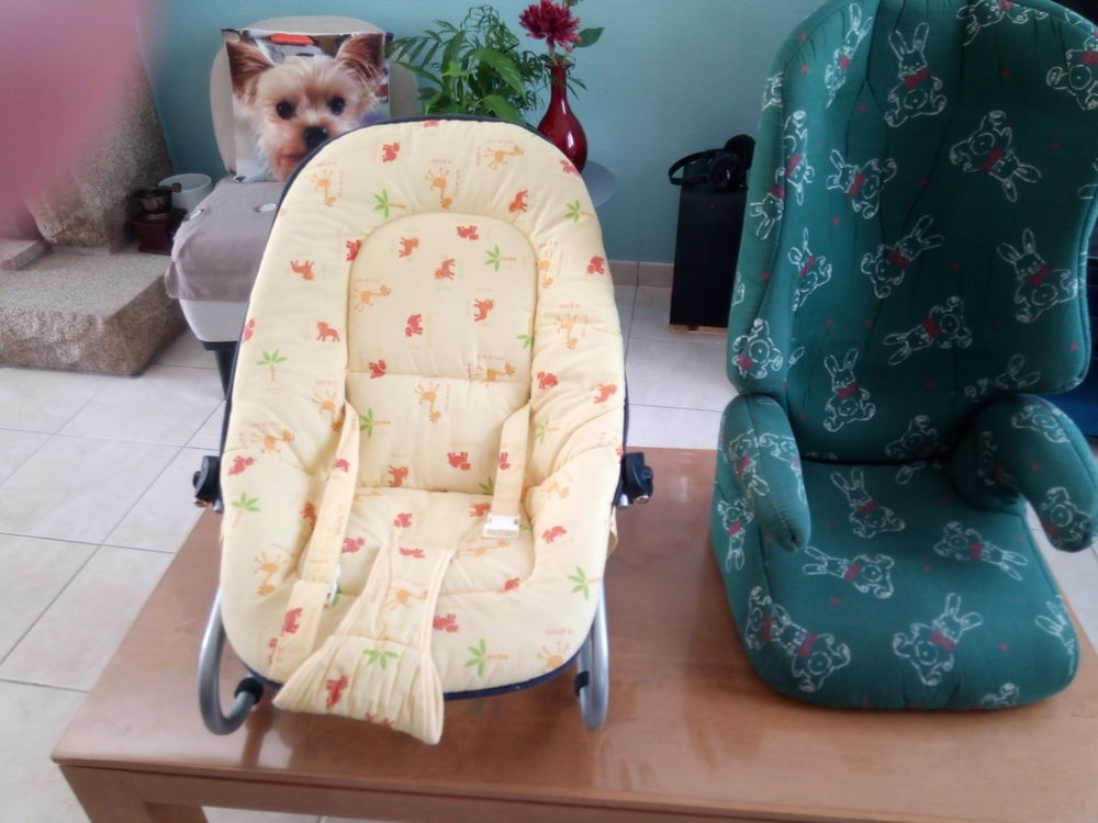 Vend si�ge auto,transat&portique 0 Pl�dran (22)