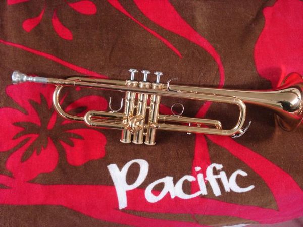 &agrave; vendre trompette yamaha pro 6310 z custom sib Instruments de musique