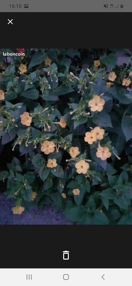 a vendre 5 Villeparisis (77)