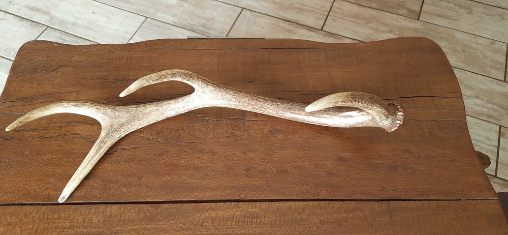 A vendre 50 L'Isle-de-No� (32)