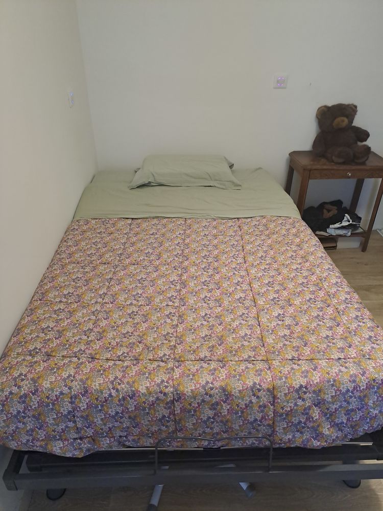 A vendre 100 Limoges (87)