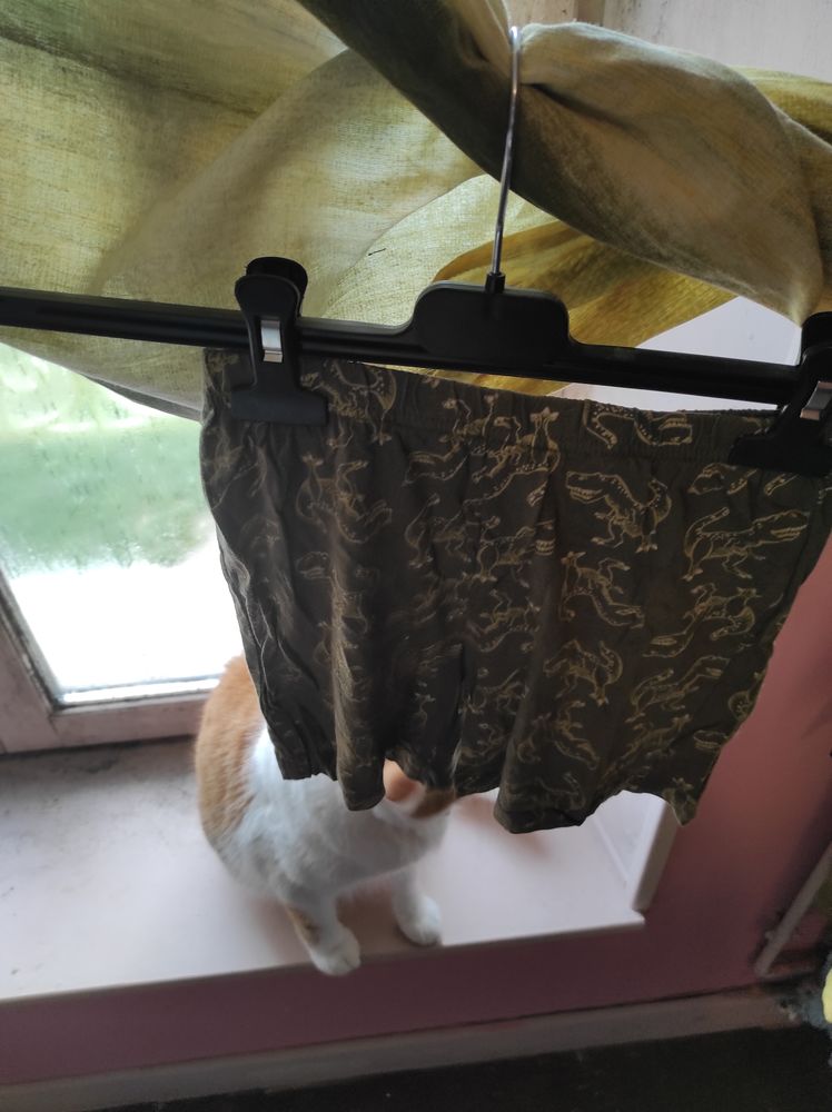 A vendre5�  ensemble short taille 6 ans 5 Accolay (89)