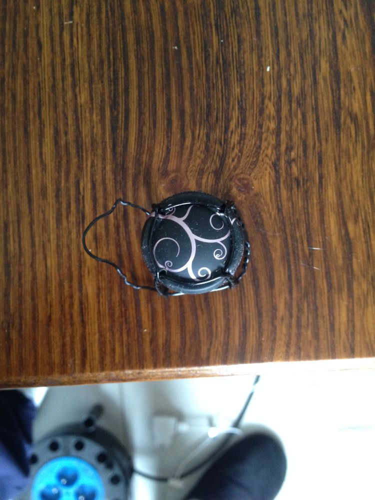 Vends capsules de champagne 1 Mayenne (53)