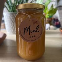 vends Miel toutes fleurs 8 Saint-Lys (31)