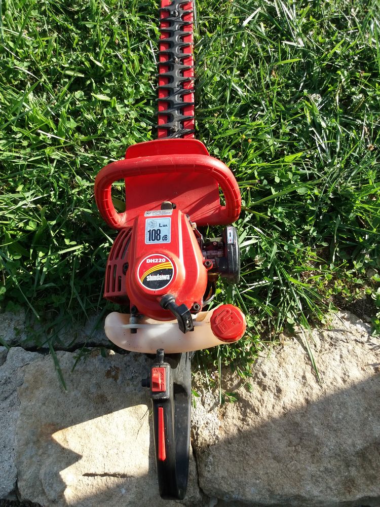 vends taille haie 200 Vyt-l�s-Belvoir (25)