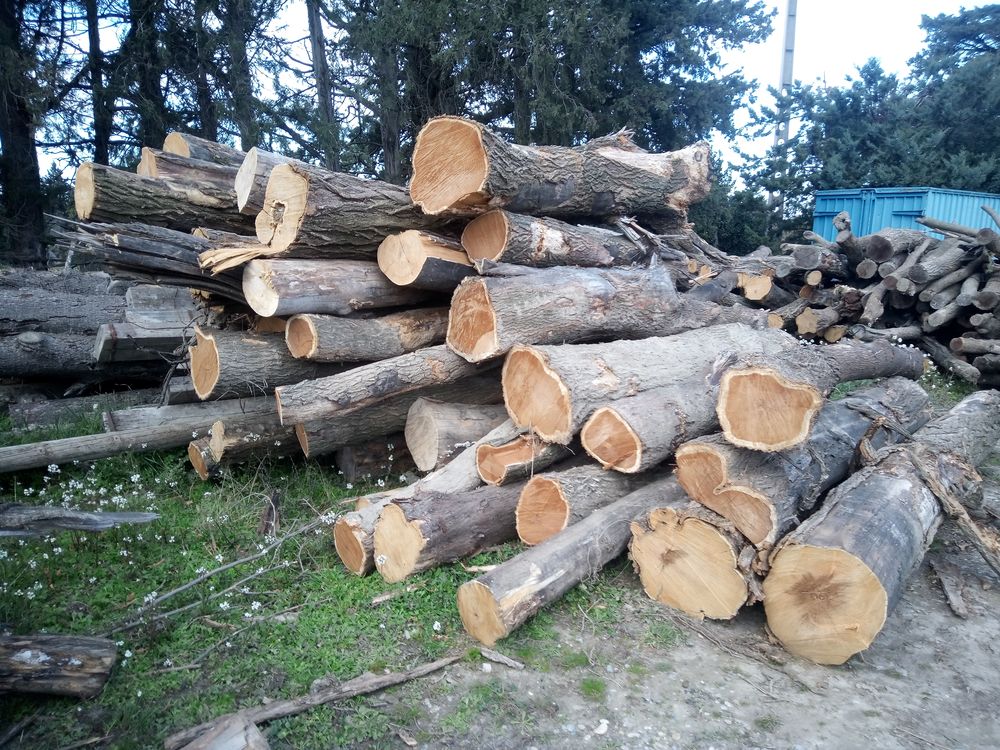 Venez acheter du bois de chauffage sec chez nous . ???? 50 Ch�teaurenard (13)