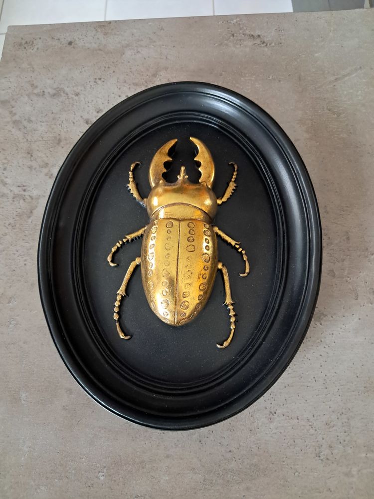 Vent cadre insectes en relief 27 cm x20 cm 15 Riantec (56)