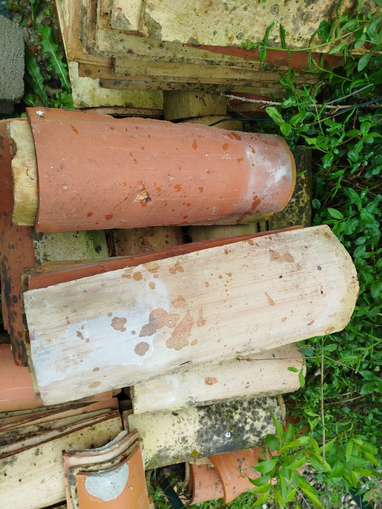 Vent tuile tige de botte traditionnelle Poitou-Charente 0 Saint-Saturnin-du-Bois (17)