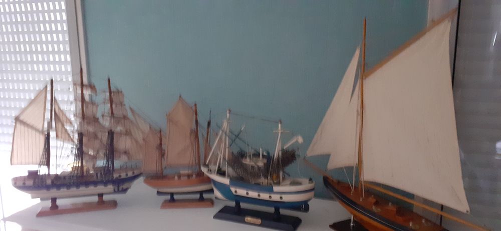 ventes de bateaux 0 Corcou�-sur-Logne (44)