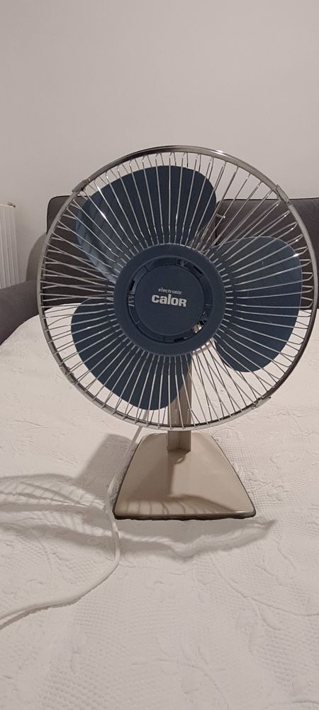 Ventilateur Calor 15 Libourne (33)