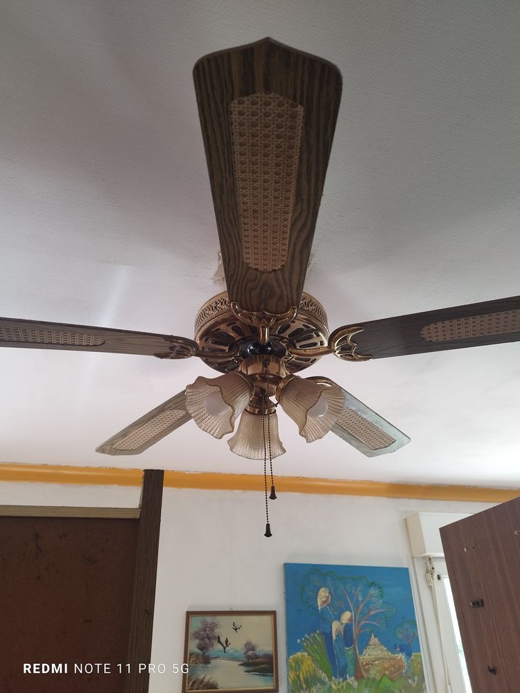 Ventilateur + lampadaire de salon 30 Plo�rmel (56)