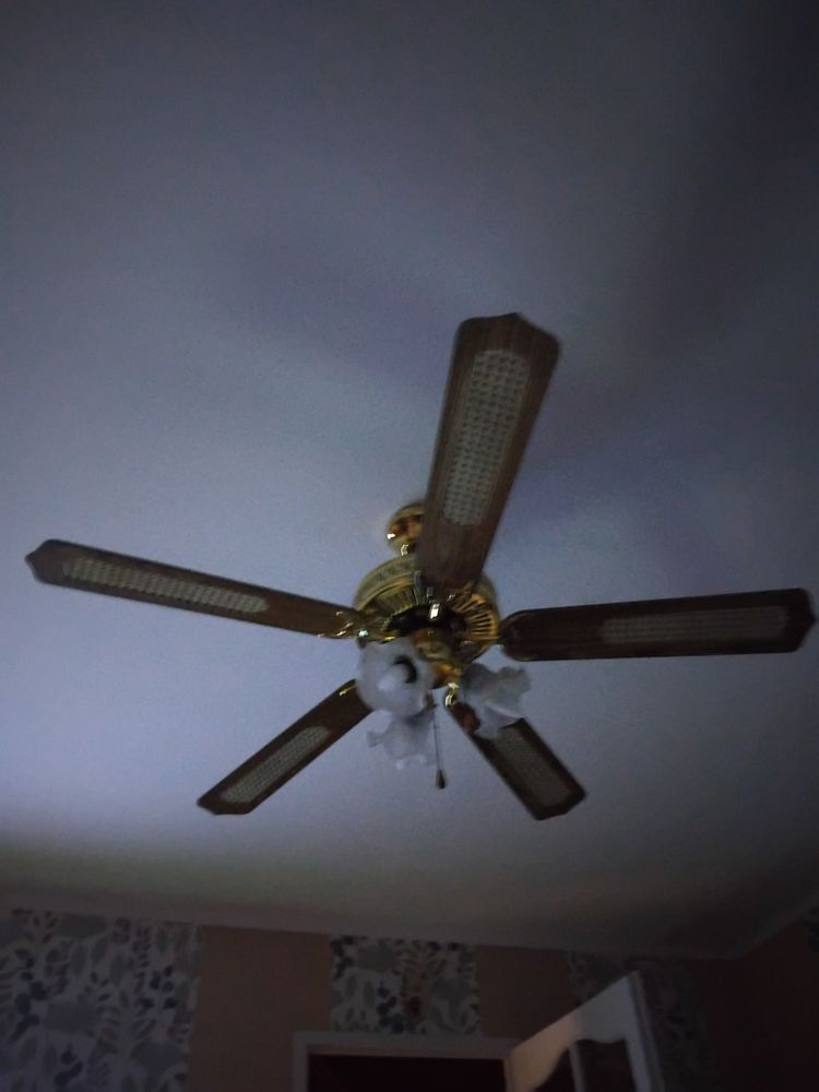 Ventilateur lustre de plafond 5 palmes 30 Wingles (62)