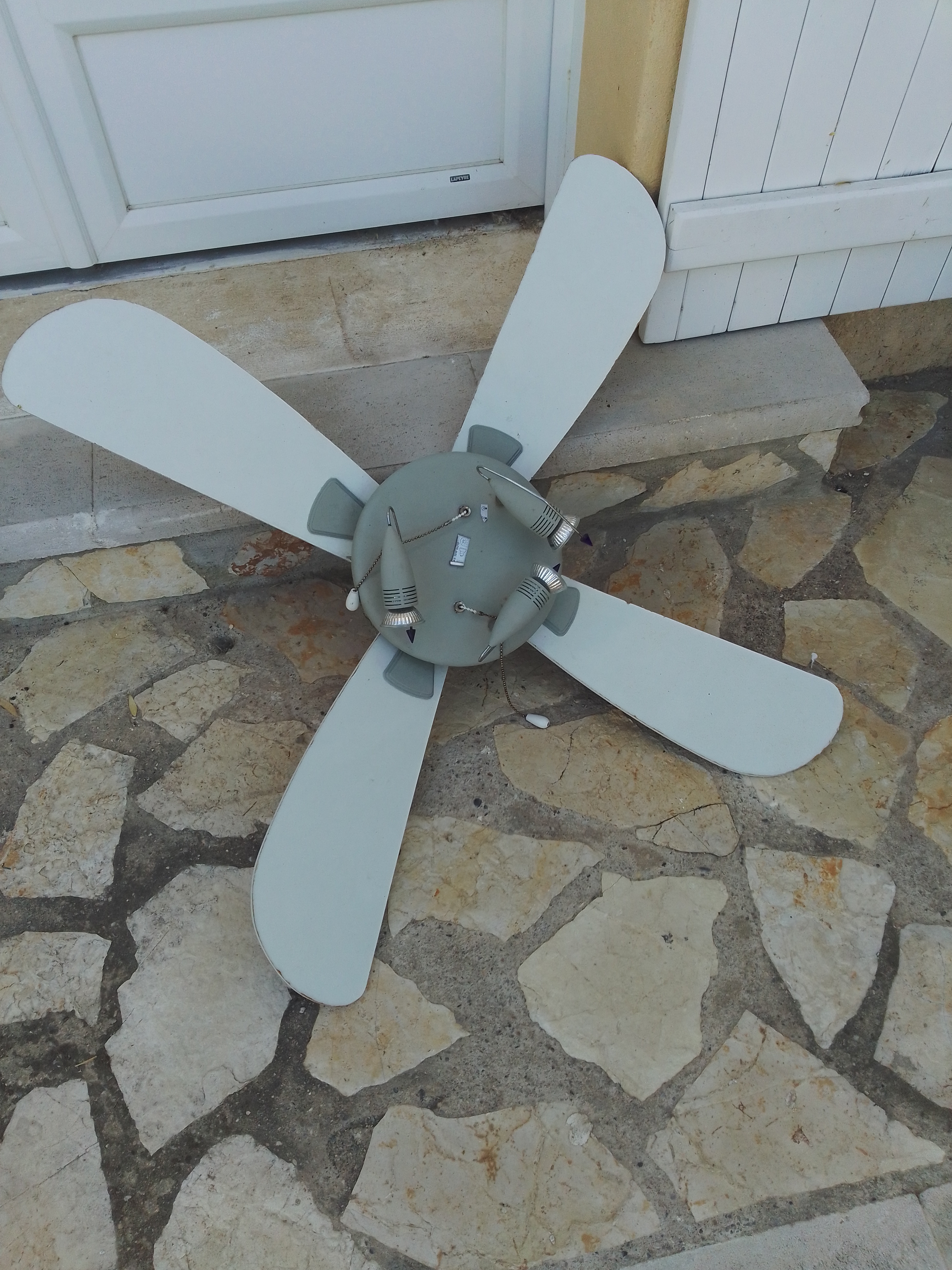 Ventilateur plafond 20 Saint-Martin-de-Crau (13)