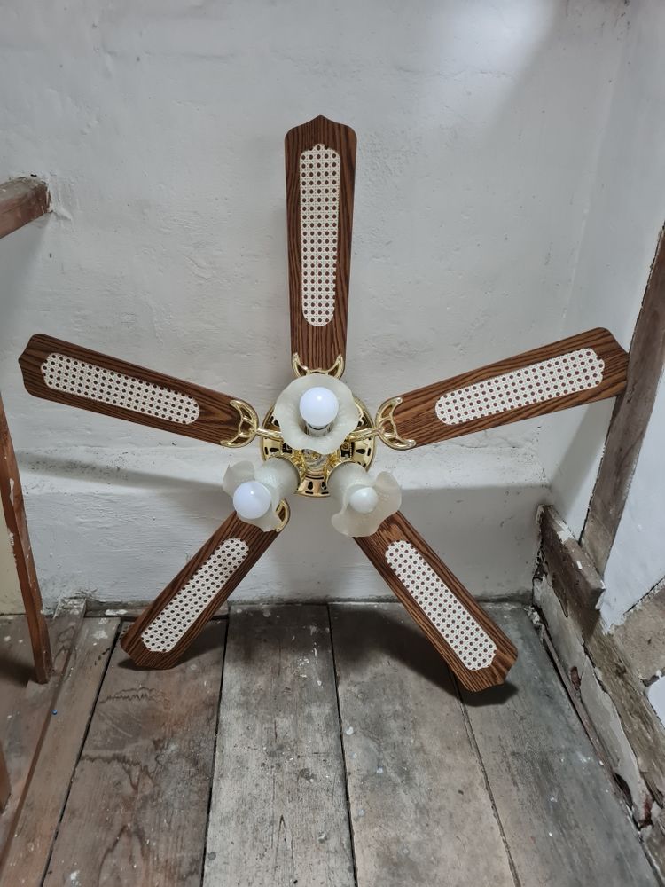 ventilateur plafonnier 60 Caudebec-l�s-Elbeuf (76)