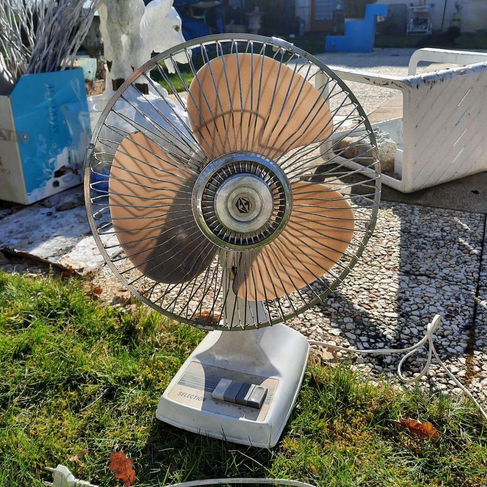 ventilateur rotatif tr�s bon etat  plusieurs vitesse 25 Caug� (27)