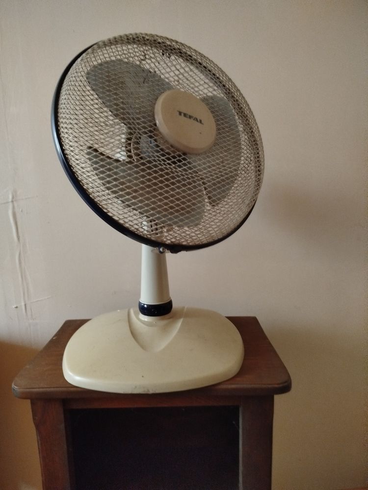 Ventilateur de table 24 Serres (05)