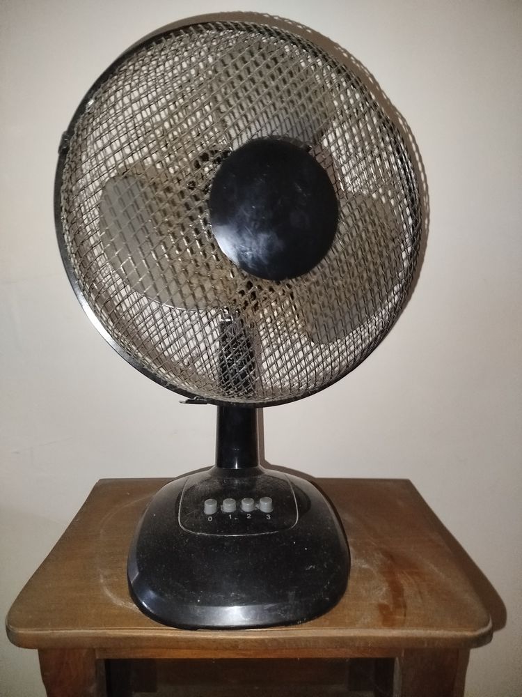 Ventilateur de table 24 Serres (05)