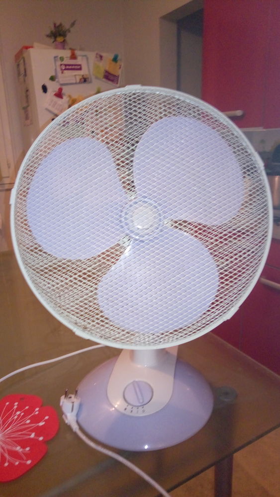 Ventilateur 25 Agen (47)