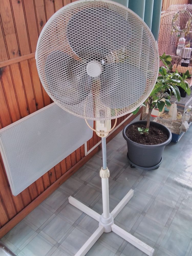 ventilateur 15 Sedan (08)