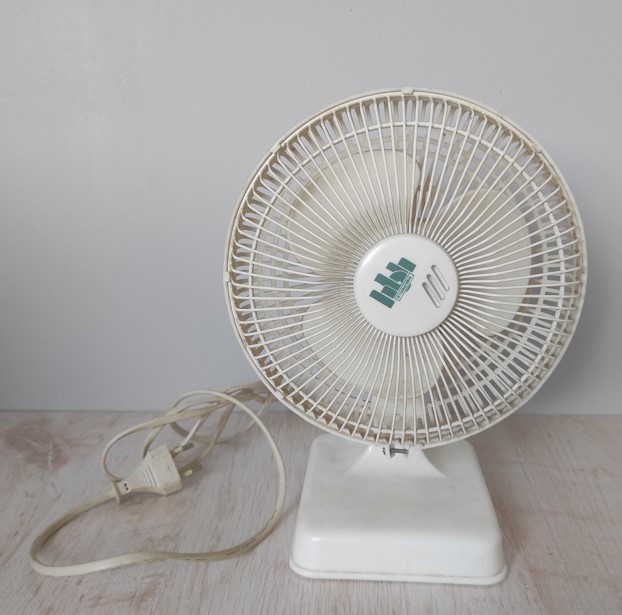 Ventilateur 25 W 2 Metz (57)