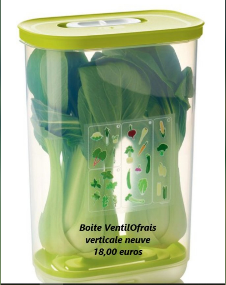 VentiloFrais Tupperware 18 Lorient (56)