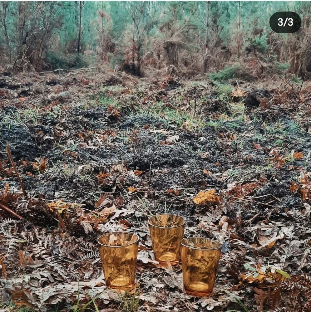 6 verres Vereco ann�e 70 15 M�zos (40)