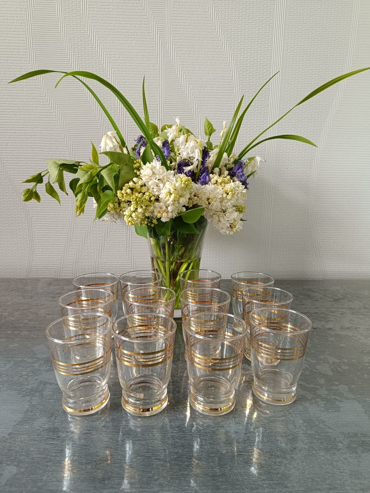 Verres vintage bon �tat 20 Fougerolles-du-Plessis (53)