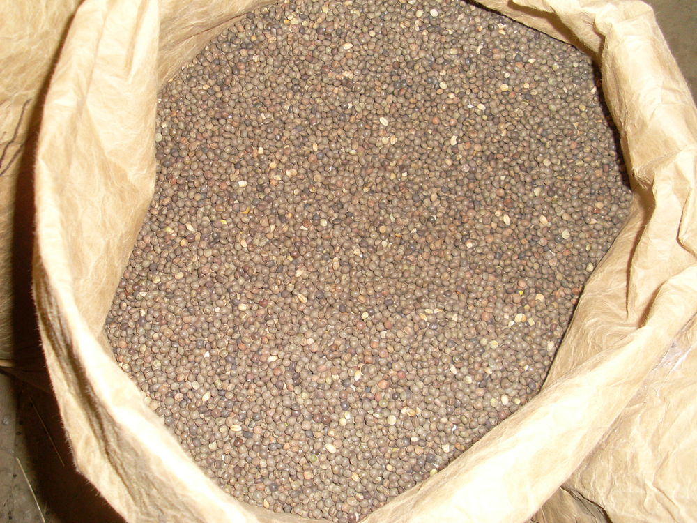 Vesce 15 Tr�al (56)