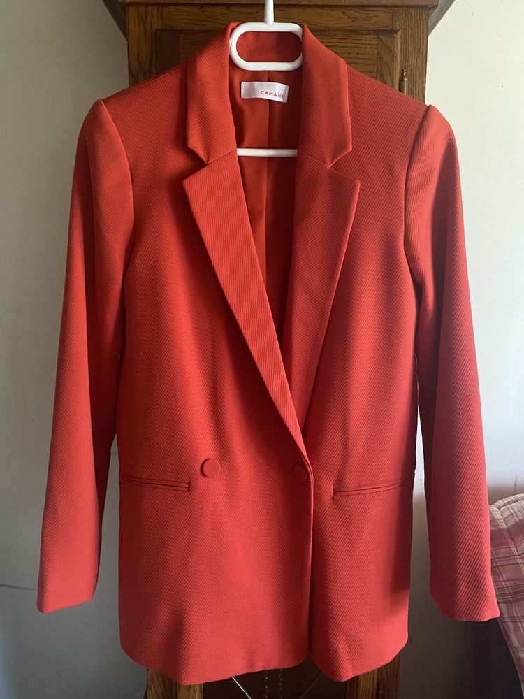 Veste Cama�eu 22 Mittainvilliers (28)