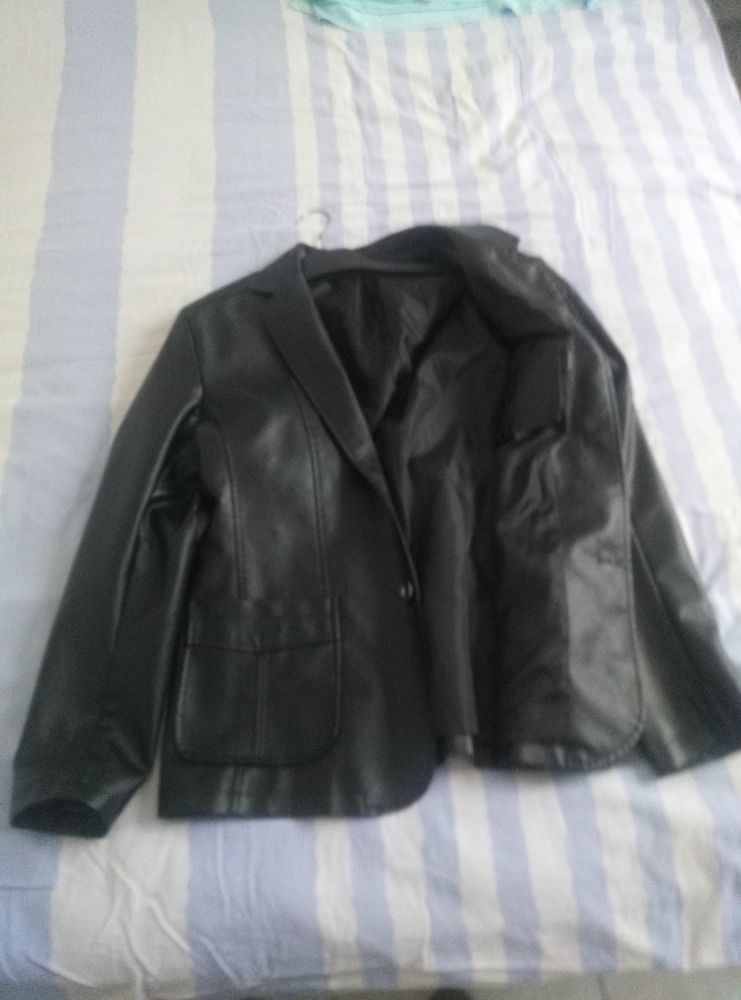 Veste cuir 25 Ondres (40)